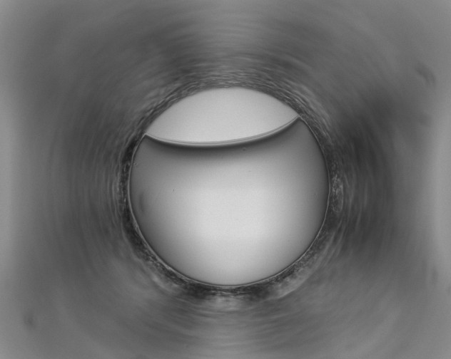 X0000112880416200908211055