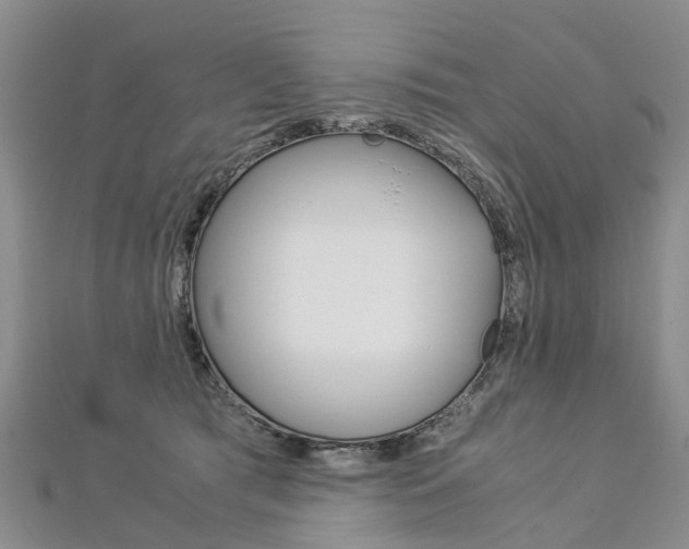 X0000112880417200908211055