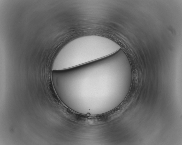 X0000112880420200908211055