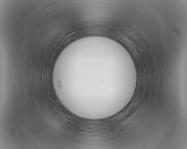 X0000112880421200908211055