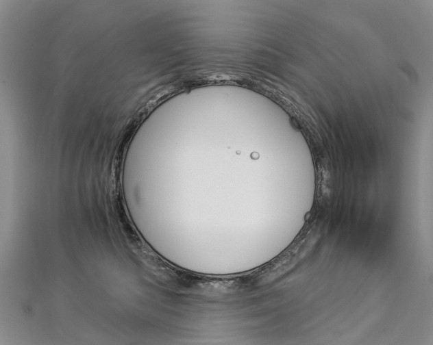 X0000112880422200908211055