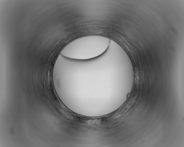 X0000112880426200908211055