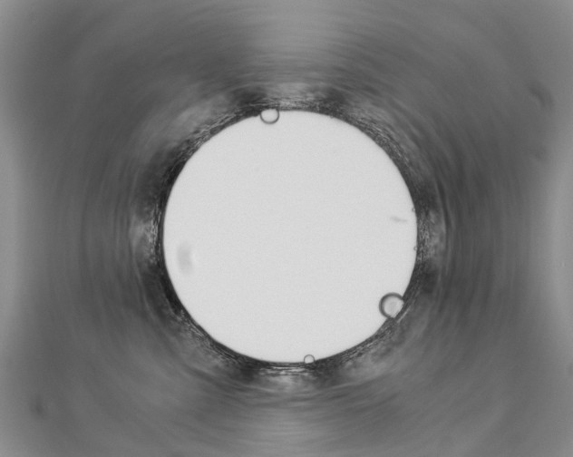 X0000112880427200908211055