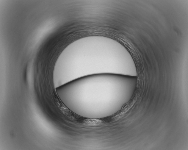 X0000112880429200908211055