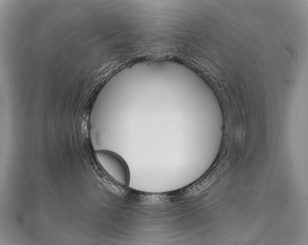 X0000112880432200908211055