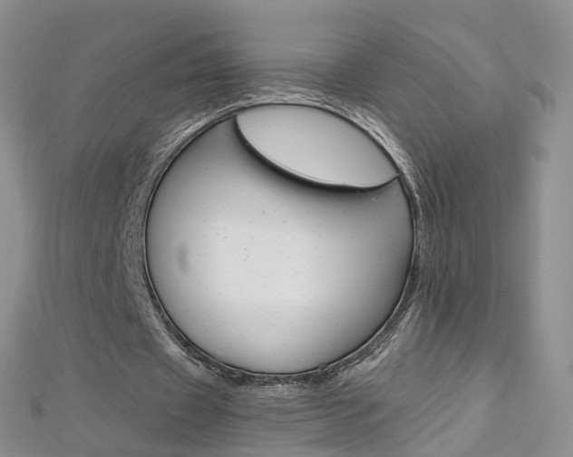 X0000112880433200908211055