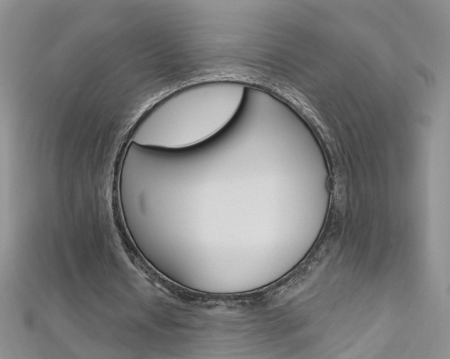 X0000112880434200908211055