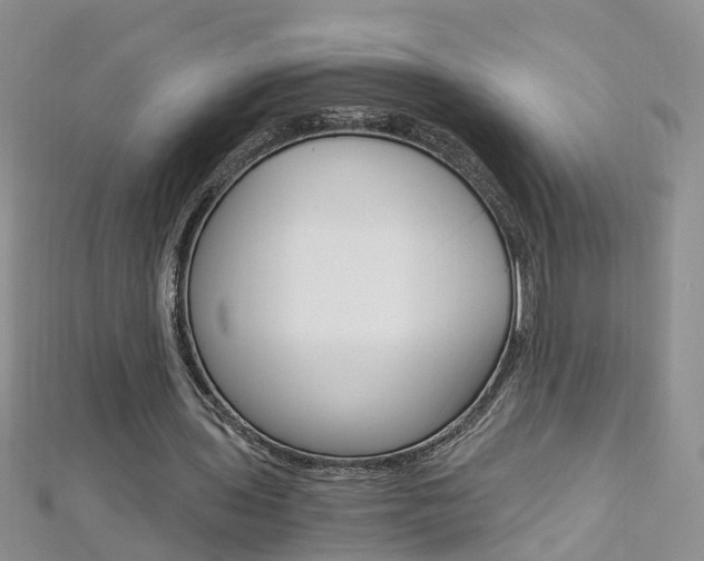 X0000112880435200908211055