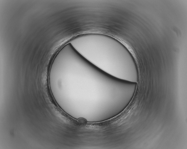 X0000112880437200908211055