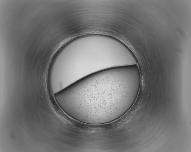 X0000112880438200908211055