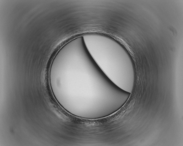 X0000112880439200908211055