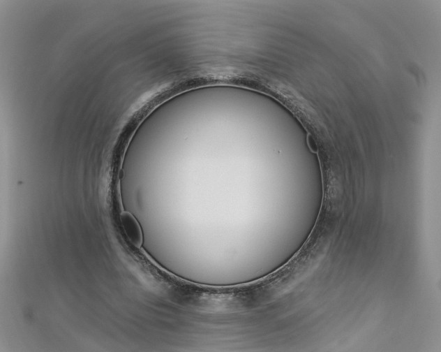 X0000112880440200908211055