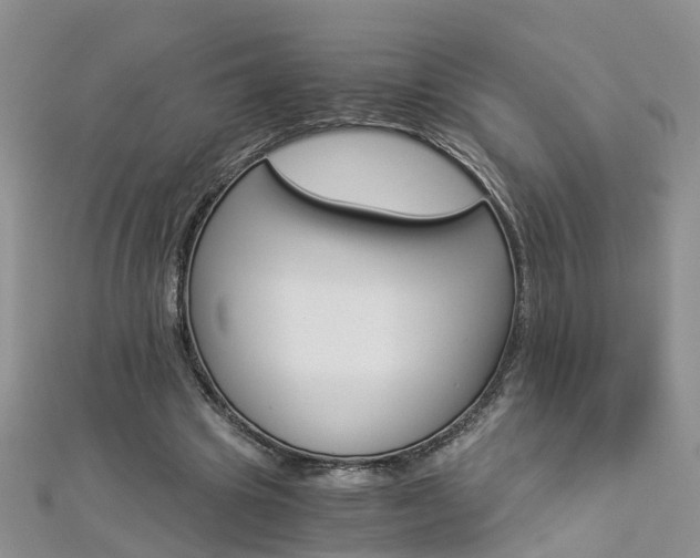 X0000112880441200908211055