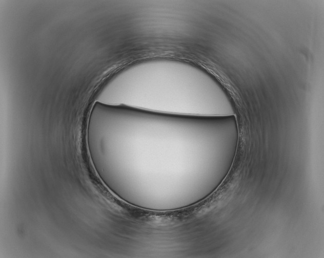 X0000112880442200908211055