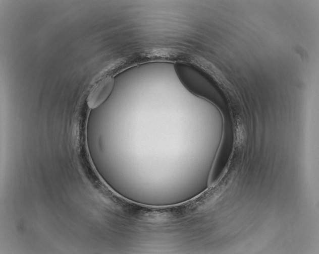 X0000112880444200908211055