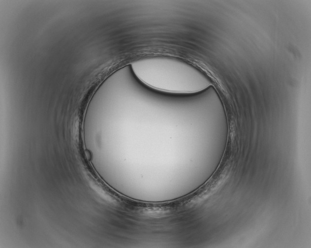 X0000112880445200908211055