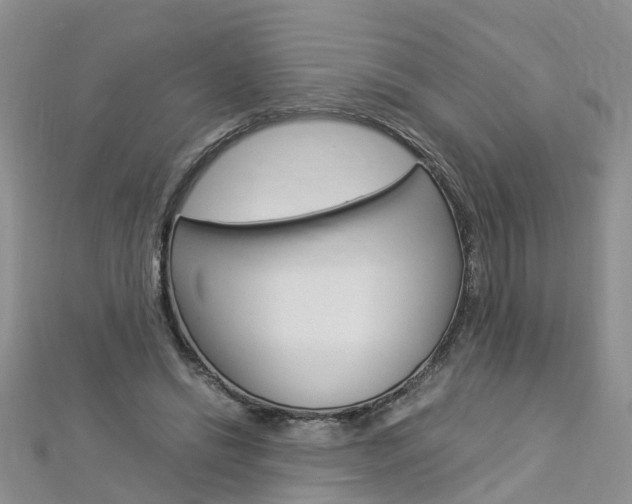 X0000112880446200908211055