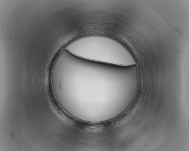 X0000112880447200908211055