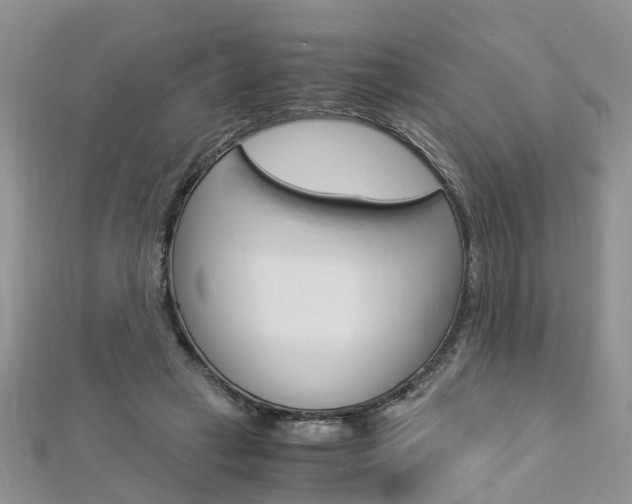 X0000112880449200908211055