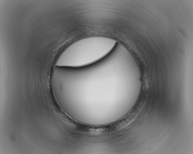 X0000112880450200908211055