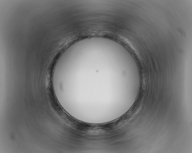 X0000112880451200908211055