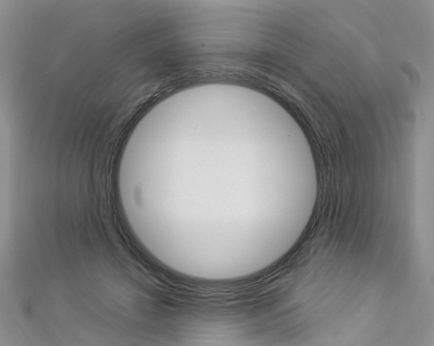 X0000112880452200908211055