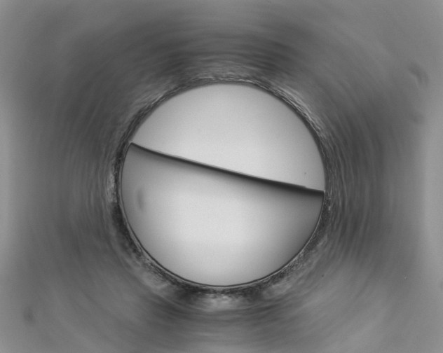 X0000112880453200908211055