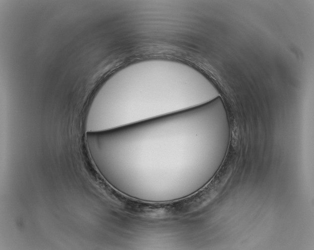 X0000112880454200908211055