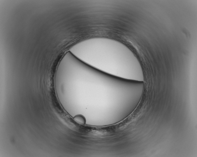 X0000112880455200908211055