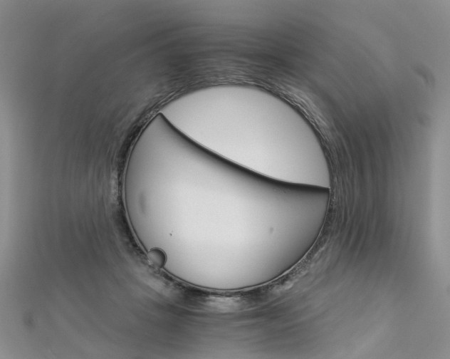 X0000112880457200908211055