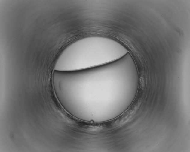 X0000112880458200908211055