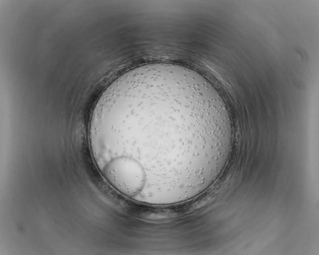 X0000112880459200908211055