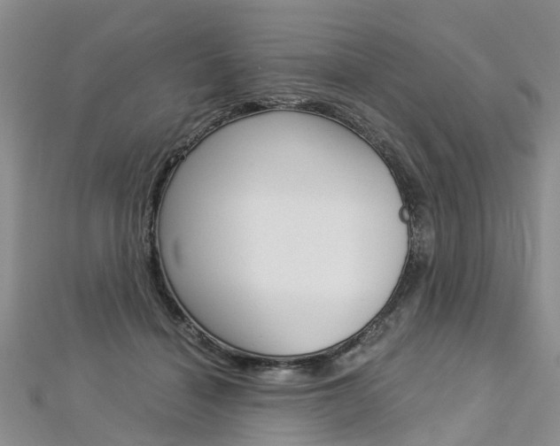 X0000112880460200908211055