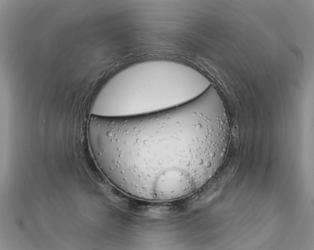 X0000112880462200908211055