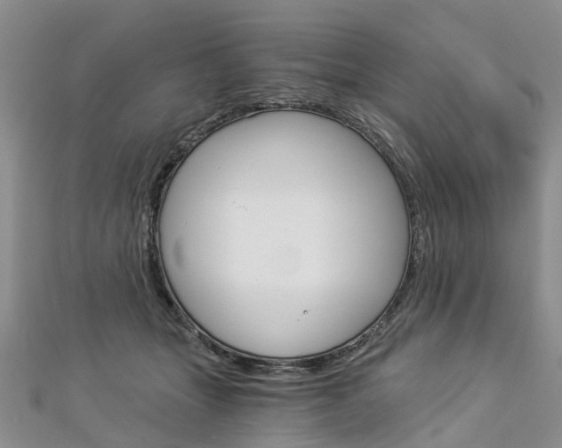 X0000112880463200908211055