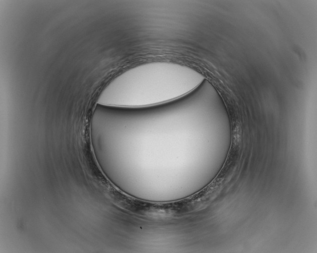 X0000112880464200908211055