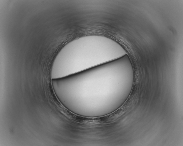 X0000112880465200908211055