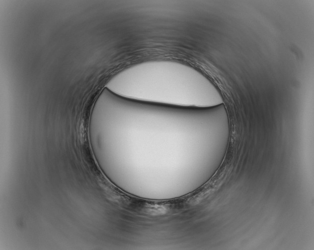 X0000112880469200908211055