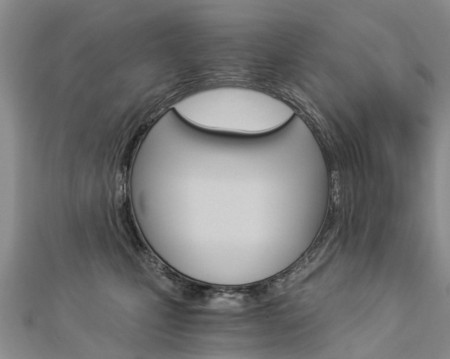 X0000112880471200908211055