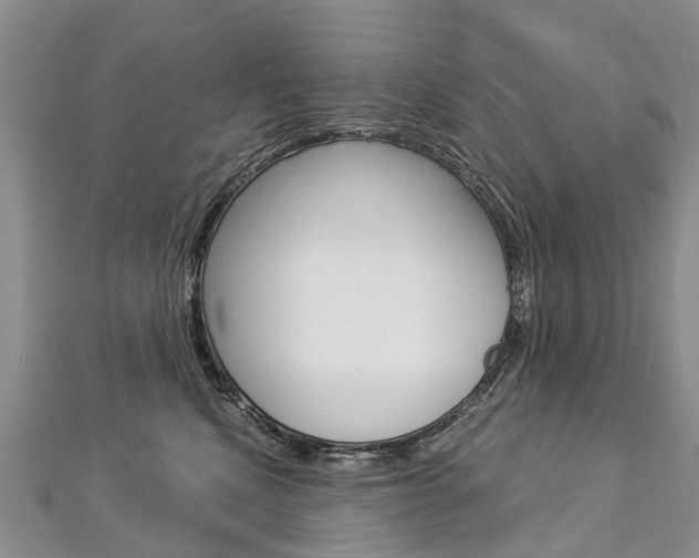 X0000112880472200908211055