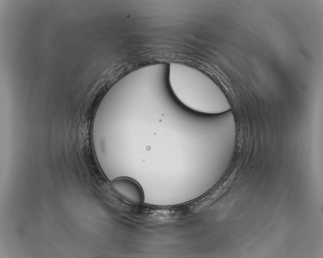 X0000112880473200908211055