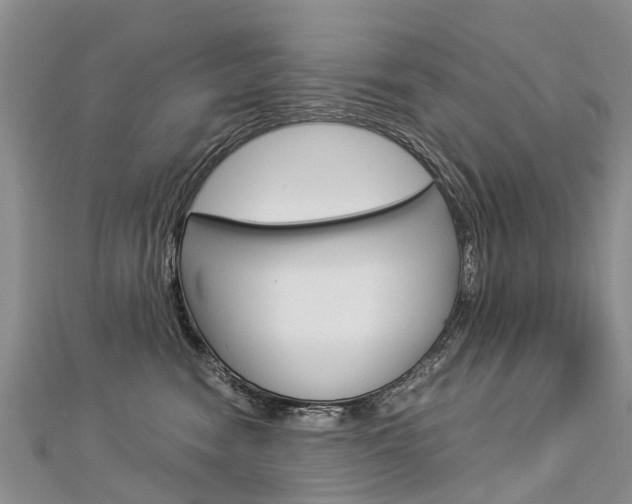 X0000112880474200908211055