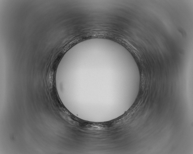 X0000112880475200908211055