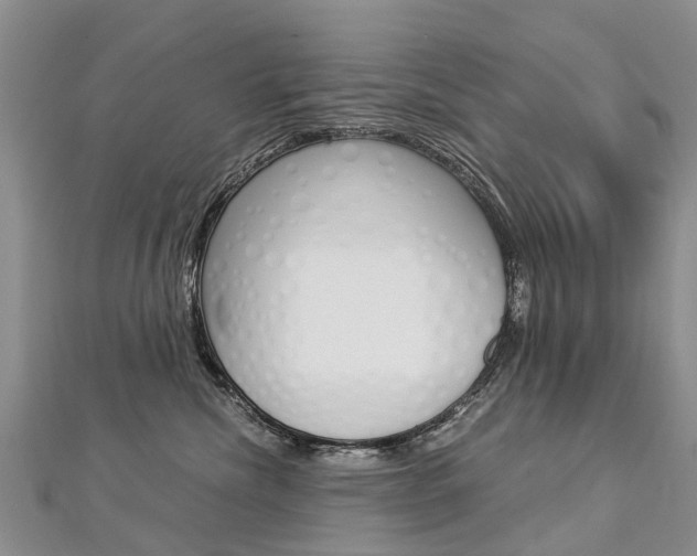 X0000112880476200908211055