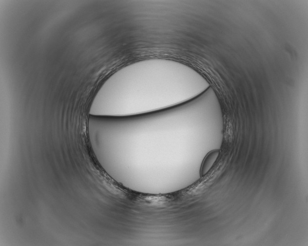 X0000112880478200908211055