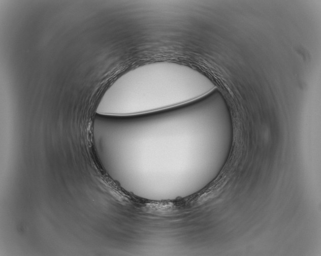 X0000112880480200908211055