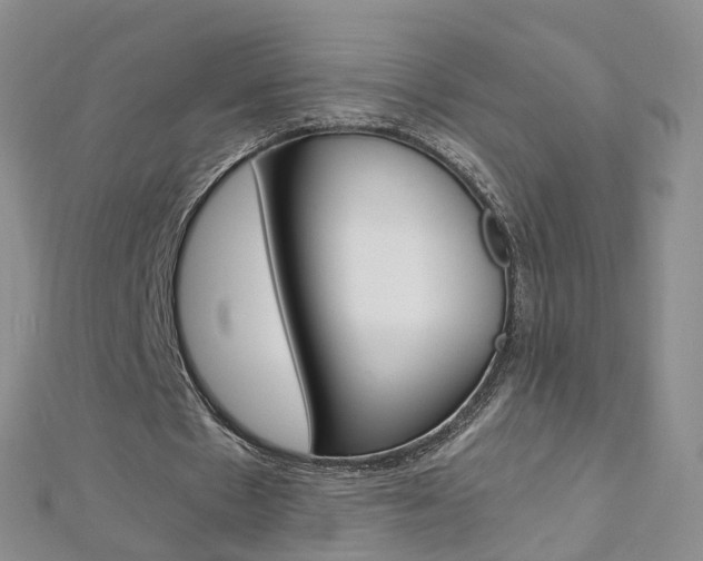 X0000112880481200908211055