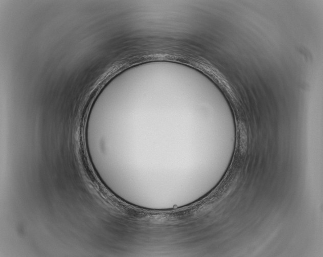 X0000112880482200908211055