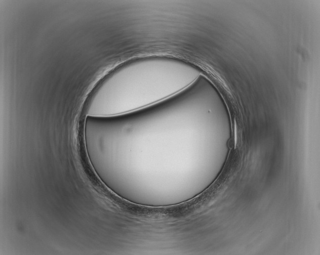 X0000112880483200908211055