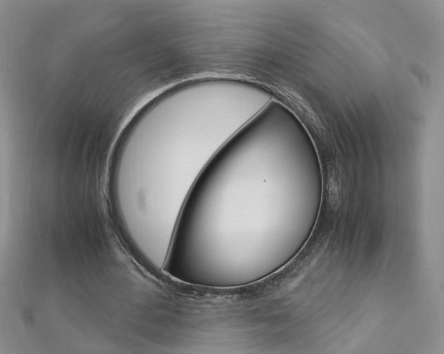 X0000112880484200908211055